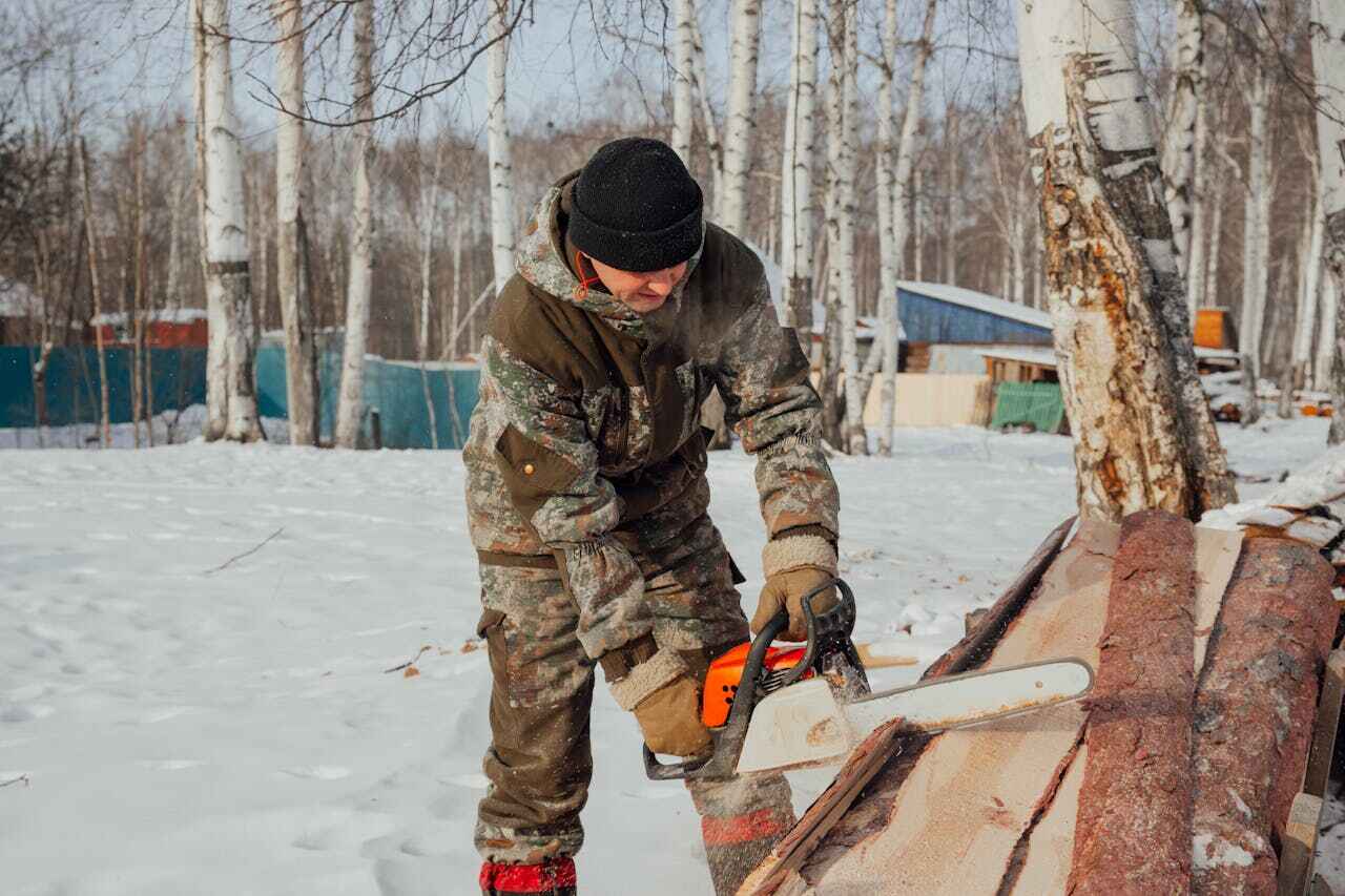 Trusted Corvallis, OR Tree Service Experts